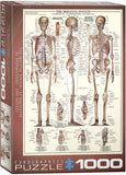 The Skeletal System | Eurographics | 1000 Pieces | Jigsaw Puzzle - Puzzles +