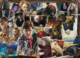 The World of Harry Potter | Harry Potter | Ravensburger | 2 X 500 Pieces | Jigsaw Puzzle - Puzzles +