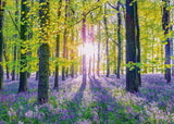 Tranquil Bluebell Woods | Schmidt | 1000 Pieces | Jigsaw Puzzle - Puzzles +