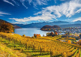 Vineyards | Schmidt | 2000 Pieces | Jigsaw Puzzle - Puzzles +