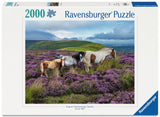 Wild Horses In The Heather | Ravensburger | 2000 Pieces | Jigsaw Puzzle - Puzzles +
