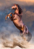 Wild Red Stallion | Clementoni | 500 Pieces | Jigsaw Puzzle - Puzzles +