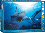 Hungry Shark - Animal Life Photography | Eurographics | 1000 Pieces | Jigsaw Puzzle