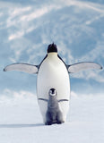Penguin & Chick - Animal Life Photography | Eurographics | 1000 Pieces | Jigsaw Puzzle