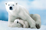Polar Bear & Baby - Animal Life Photography | Eurographics | 1000 Pieces | Jigsaw Puzzle