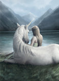Unicorn Connection - Anne Stokes | Artist Series | Eurographics | 1000 Pieces | Jigsaw Puzzle