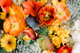 Autumn Delight - Joy in Pieces | Tania Wicks | 1000 Pieces | Jigsaw Puzzle