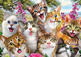 Cat Selfie - Howard Robinson | Schmidt | 500 Pieces | Jigsaw Puzzle - Puzzles +