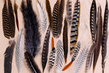 Feathered Friends - The Art of Mindfulness | Tania Wicks | 1000 Pieces | Jigsaw Puzzle - Puzzles +