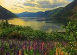 Fjord - Norway | Scandinavian Places | Ravensburger | 1000 Pieces | Jigsaw Puzzle - Puzzles +