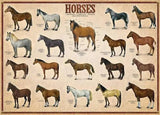 Horses - Animal Charts | Eurographics | 1000 Pieces | Jigsaw Puzzle - Puzzles +