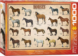 Horses - Animal Charts | Eurographics | 1000 Pieces | Jigsaw Puzzle - Puzzles +