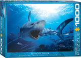Hungry Shark - Animal Life Photography | Eurographics | 1000 Pieces | Jigsaw Puzzle - Puzzles +