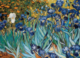 Irises - Vincent Van Gogh | Fine Art Collection | Eurographics | 1000 Pieces | Jigsaw Puzzle - Puzzles +