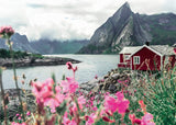 Lofoten - Norway | Scandinavian Places | Ravensburger | 1000 Pieces | Jigsaw Puzzle - Puzzles +