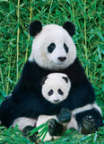 Panda & Baby - Animal Life Photography | Eurographics | 1000 Pieces | Jigsaw Puzzle - Puzzles +