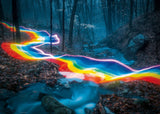 Rainbow Road - Magic Forests | Daniel Mercadante | Heye | 1000 Pieces | Jigsaw Puzzle - Puzzles +