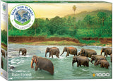 Rainforest - Save Our Planet Collection | Eurographics | 1000 Pieces | Jigsaw Puzzle - Puzzles +