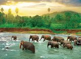Rainforest - Save Our Planet Collection | Eurographics | 1000 Pieces | Jigsaw Puzzle - Puzzles +