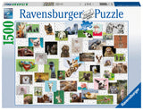 Funny Animals | Ravensburger | 1500 Pieces | Jigsaw Puzzle