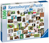 Funny Animals | Ravensburger | 1500 Pieces | Jigsaw Puzzle