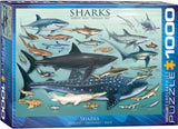Sharks - Animal Charts | Eurographics | 1000 Pieces | Jigsaw Puzzle - Puzzles +