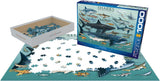 Sharks - Animal Charts | Eurographics | 1000 Pieces | Jigsaw Puzzle - Puzzles +