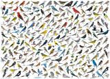 The World of Birds - David Sibley | Animal Charts | Eurographics | 1000 Pieces | Jigsaw Puzzle - Puzzles +