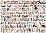 The World of Cats - Animal Charts | Eurographics | 1000 Pieces | Jigsaw Puzzle - Puzzles +