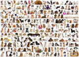 The World of Dogs - Animal Charts | Eurographics | 1000 Pieces | Jigsaw Puzzle - Puzzles +