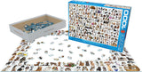 The World of Dogs - Animal Charts | Eurographics | 1000 Pieces | Jigsaw Puzzle - Puzzles +