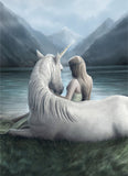 Unicorn Connection - Anne Stokes | Artist Series | Eurographics | 1000 Pieces | Jigsaw Puzzle - Puzzles +