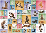 Yoga Cats - Yoga Dogs & Cats Collection | Eurographics | 1000 Pieces | Jigsaw Puzzle - Puzzles +