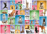Yoga Dogs - Yoga Dogs & Cats Collection | Eurographics | 1000 Pieces | Jigsaw Puzzle - Puzzles +